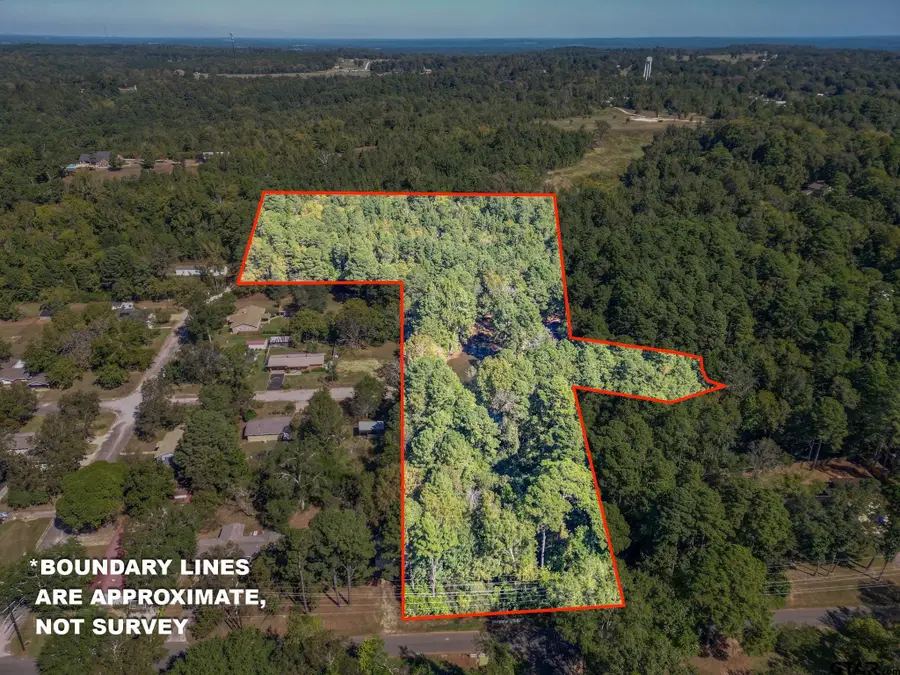 431 Gifford St., Rusk, TX 75785 - #2