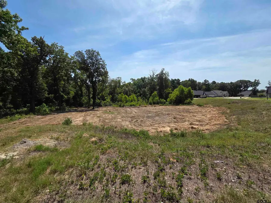 3507 Chapel View, Tyler, TX 75707 - #2