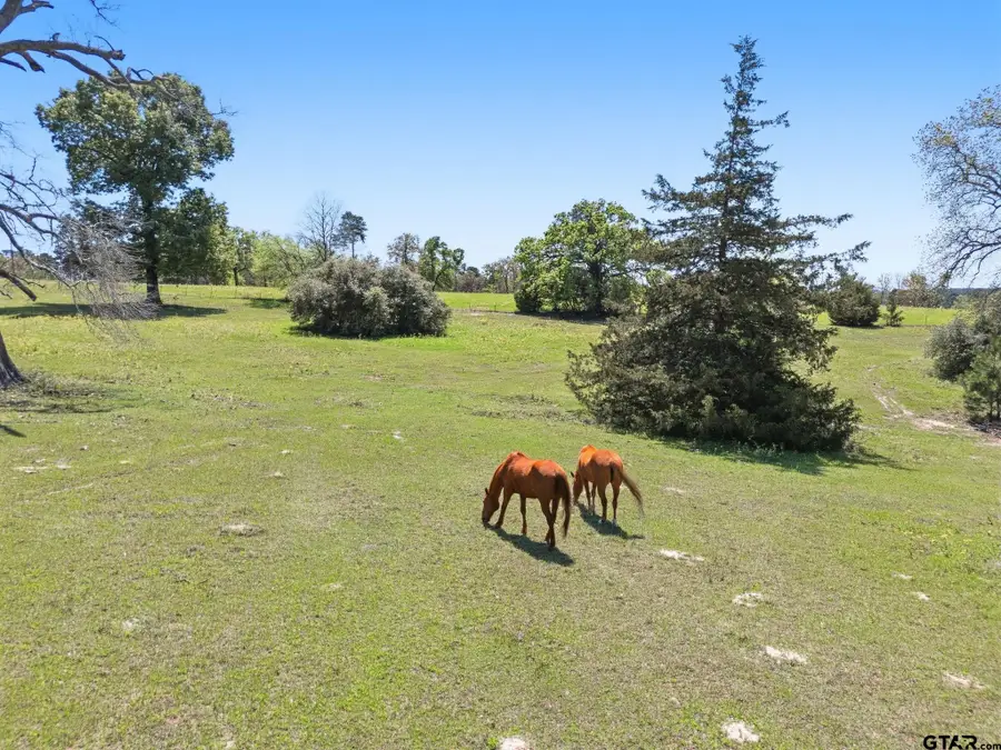 689 & 691 FM 1272, Grapeland, TX 75844 - #2