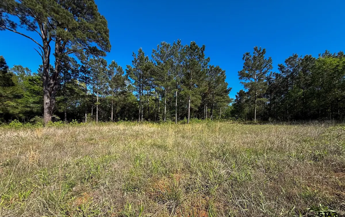 1329 CR 2112, Rusk, TX 75785 - #1