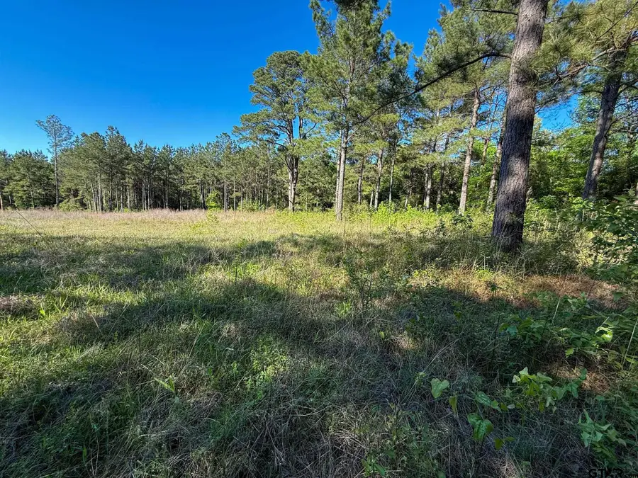 1329 CR 2112, Rusk, TX 75785 - #2