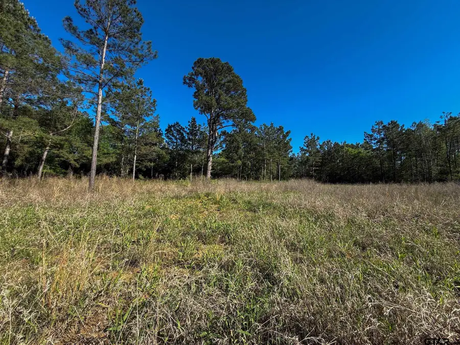 1329 CR 2112, Rusk, TX 75785 - #3