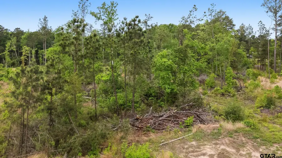 TBD Amos Rd, Longview, TX 75602 - #3