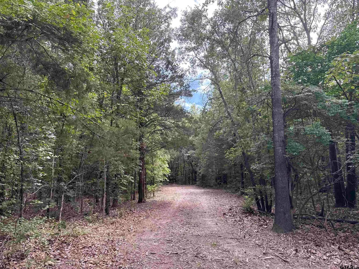 22417 CR 455, Mineola, TX 75773 - #1