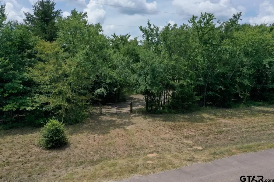 22417 CR 455, Mineola, TX 75773 - #3