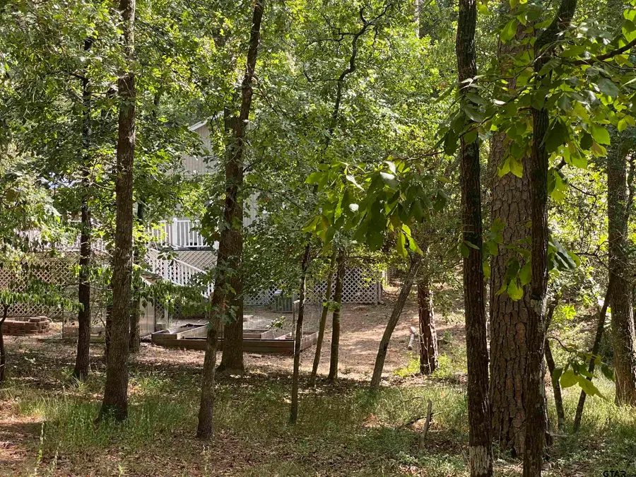 tbd Lamplight Path, Holly Lake Ranch, TX 75765 - #2