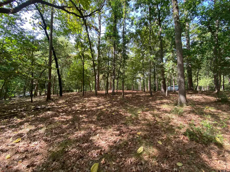 tbd Lamplight Path, Holly Lake Ranch, TX 75765 - #3