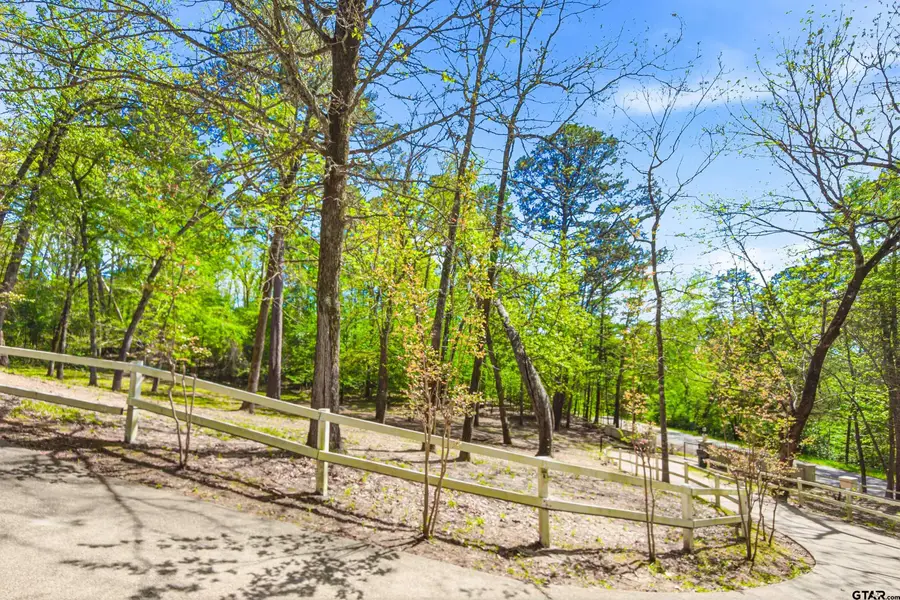 18737 Oakbrook Rd, Tyler, TX 75703 - #3