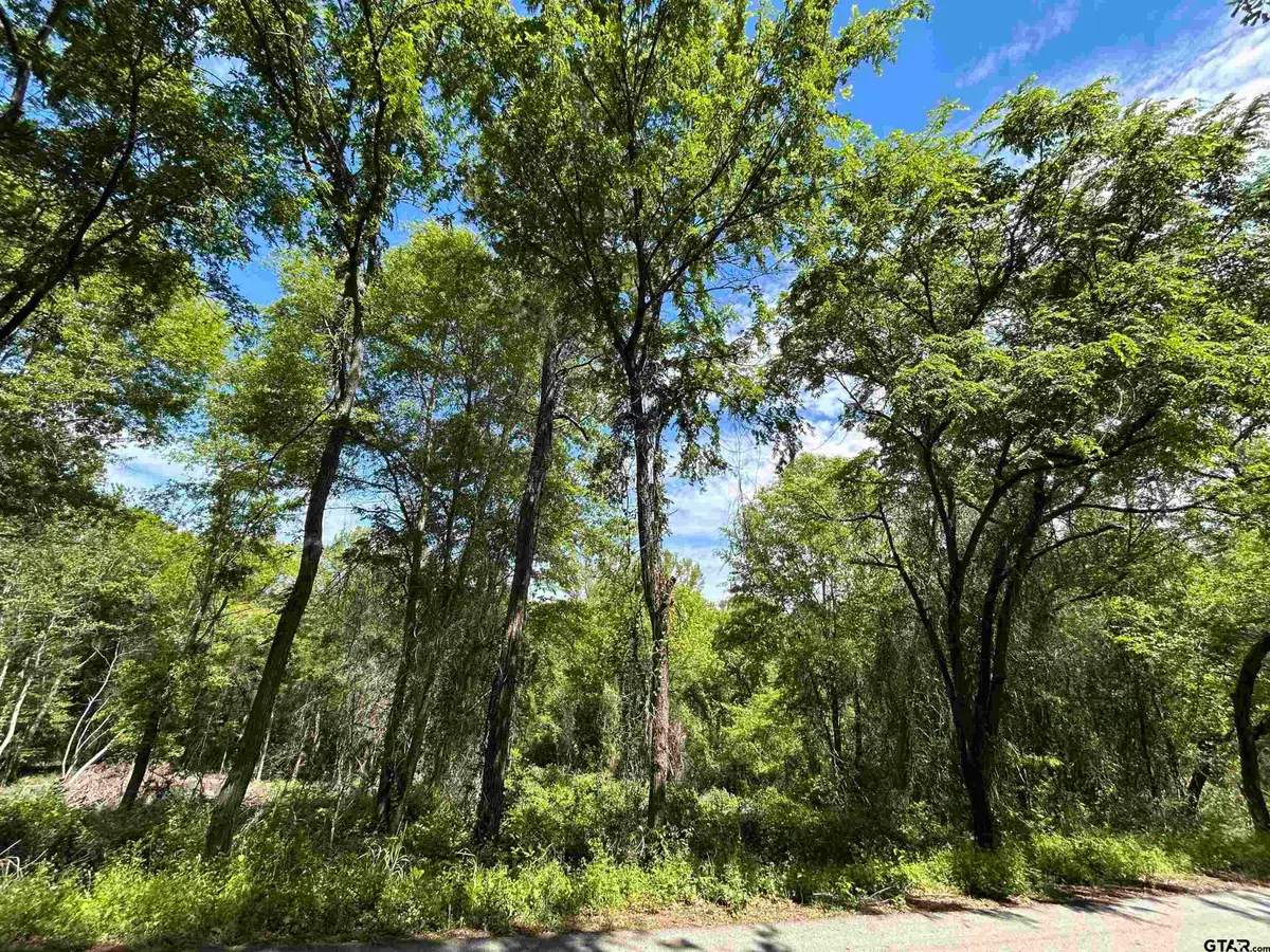 13904 County Road 1250, Tyler, TX 75709 - #1