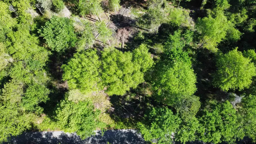 13904 County Road 1250, Tyler, TX 75709 - #3