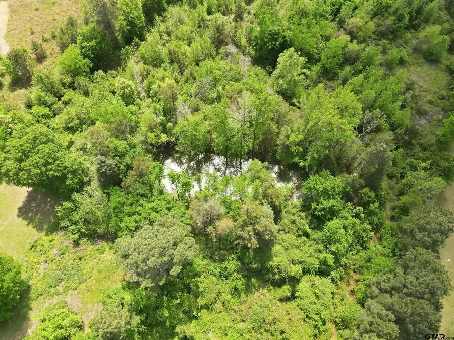 TBD HWY 11 W, Pittsburg, TX 75686 - #3