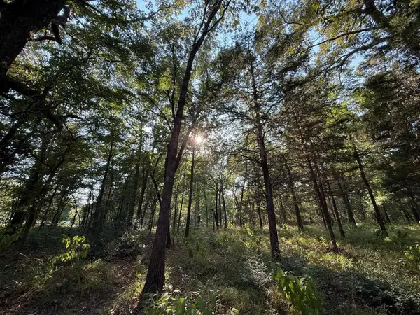 TBD CR 2798, Mineola, TX 75773