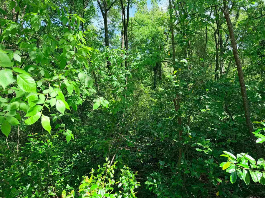 1023 S Peach Ave, Tyler, TX 75701 - #2