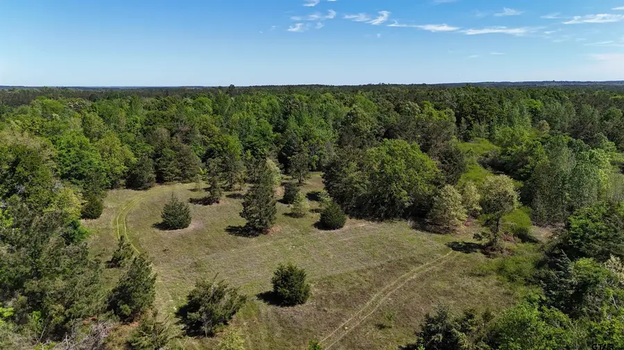 158 County Road 4891, Timpson, TX 75975 - #3