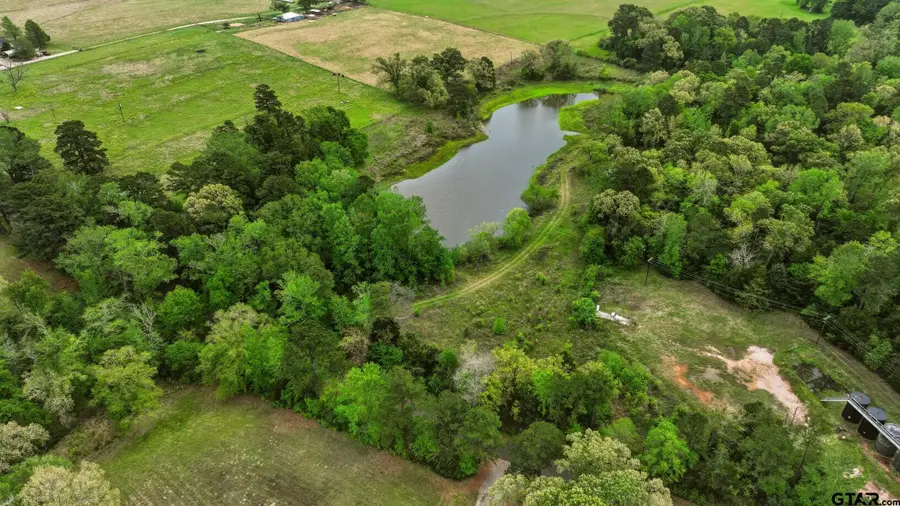 1029 An CR 185, Elkhart, TX 75839 - #2