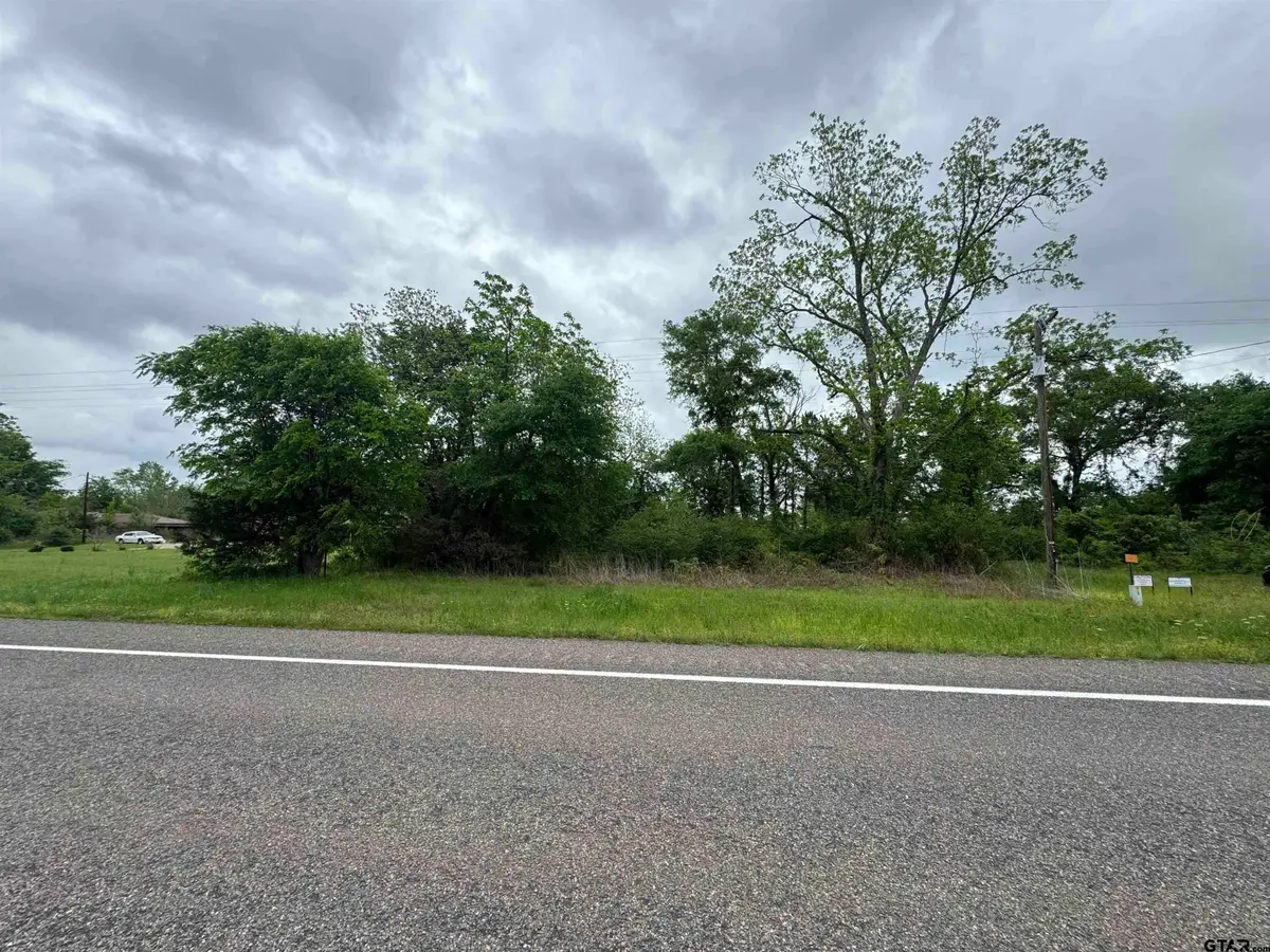 19821 State Hwy 135, Troup, TX 75789 - #1