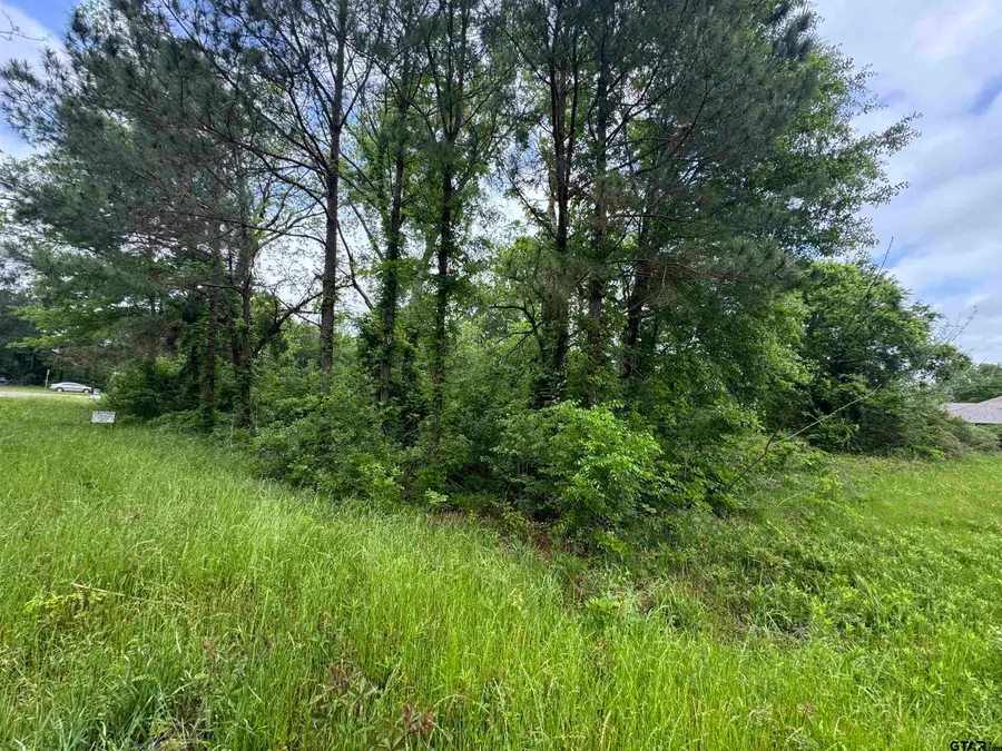 19821 State Hwy 135, Troup, TX 75789 - #3