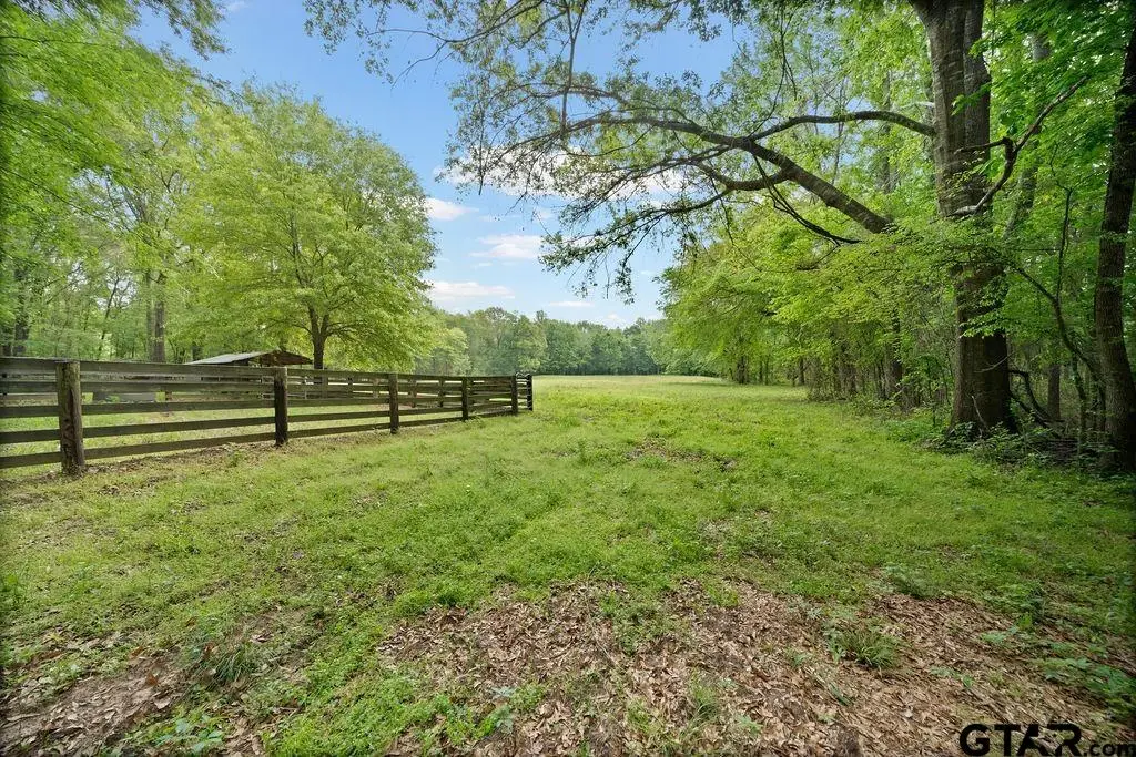 TBD VZ County Road 4505, Ben Wheeler, TX 75754 - #1