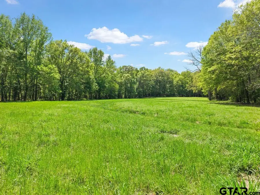 TBD VZ County Road 4505, Ben Wheeler, TX 75754 - #3