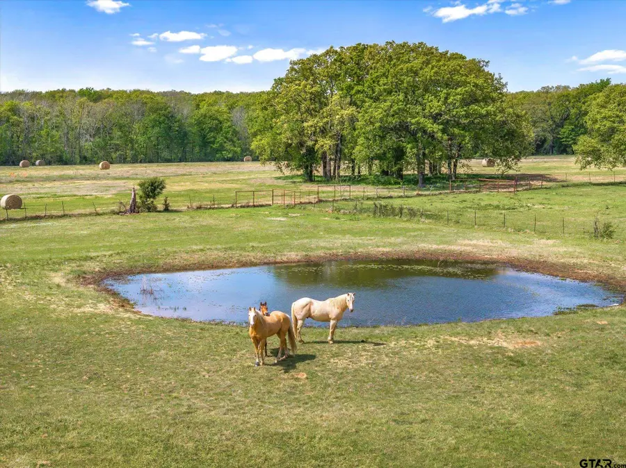 260 VZCR 3531, Edgewood, TX 75117 - #3