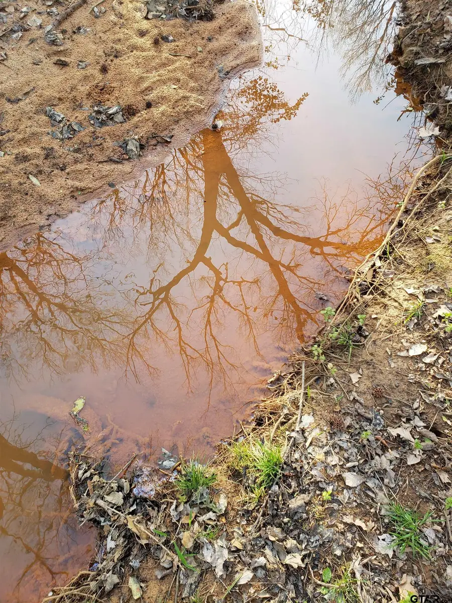 20039 CR 450, Lindale, TX 75771 - #2