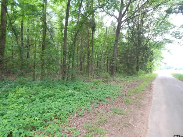 TBD 3.07 ACRE WOODCHUCK RD, Pittsburg, TX 75686