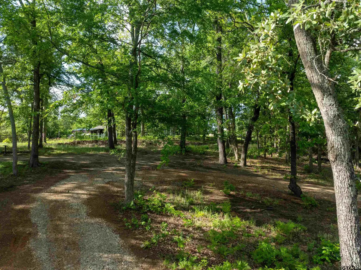 175 North Lake Drive, Callender Lake, TX 75778 - #1