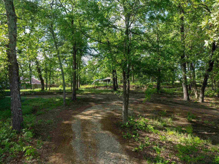 175 North Lake Drive, Callender Lake, TX 75778 - #2
