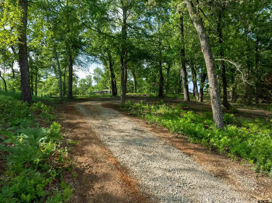 175 North Lake Drive, Callender Lake, TX 75778 - #3