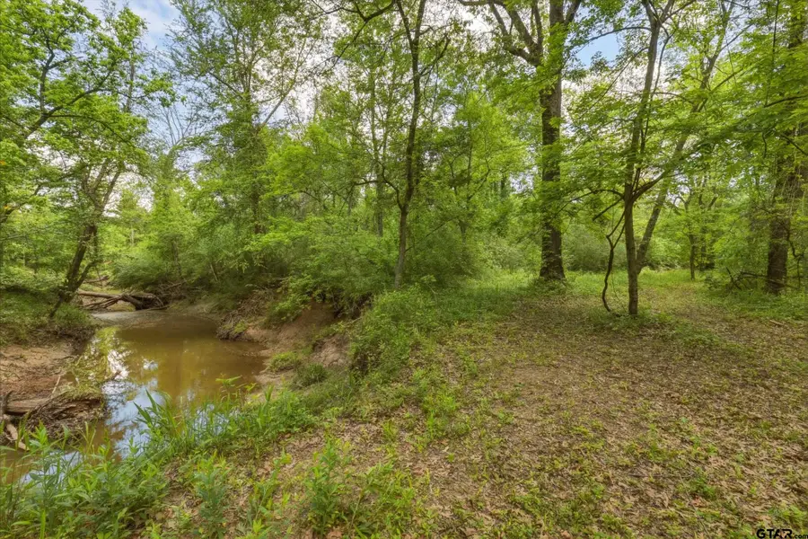 1542 NW County Road 1018, Mount Vernon, TX 75457 - #3