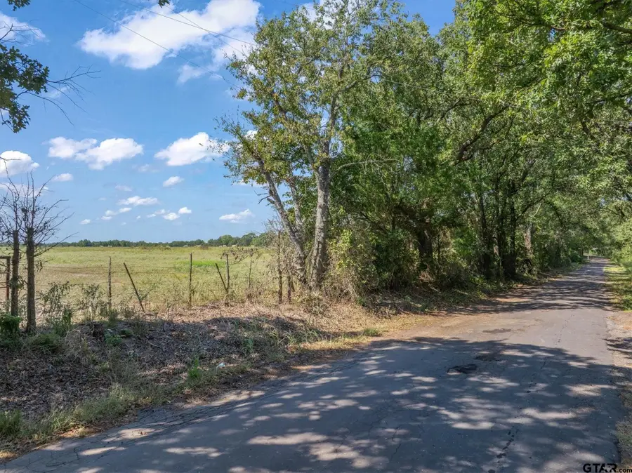 TBD VZ County Road 1905, Fruitvale, TX 75127 - #2