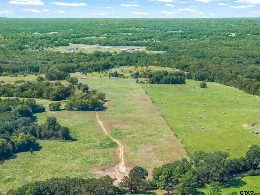 TBD VZ County Road 1905, Fruitvale, TX 75127 - #3