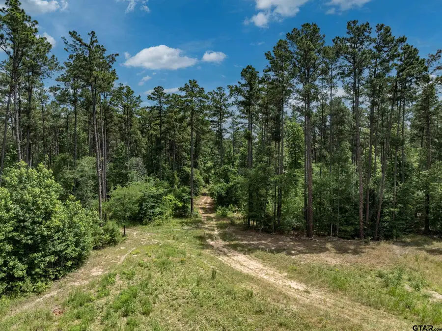 16210 Sh 110 N, Lindale, TX 75771 - #3