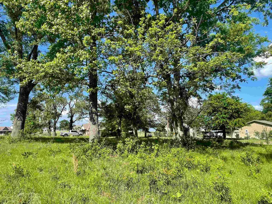 TBD Bayside Dr, Frankston, TX 75763 - #2