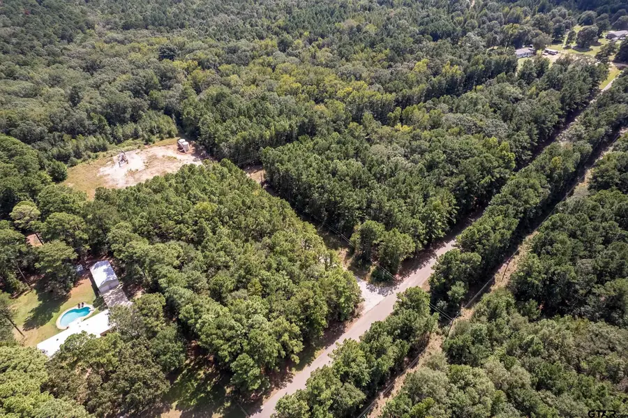 TBD County Road 2160, Troup, TX 75789 - #3