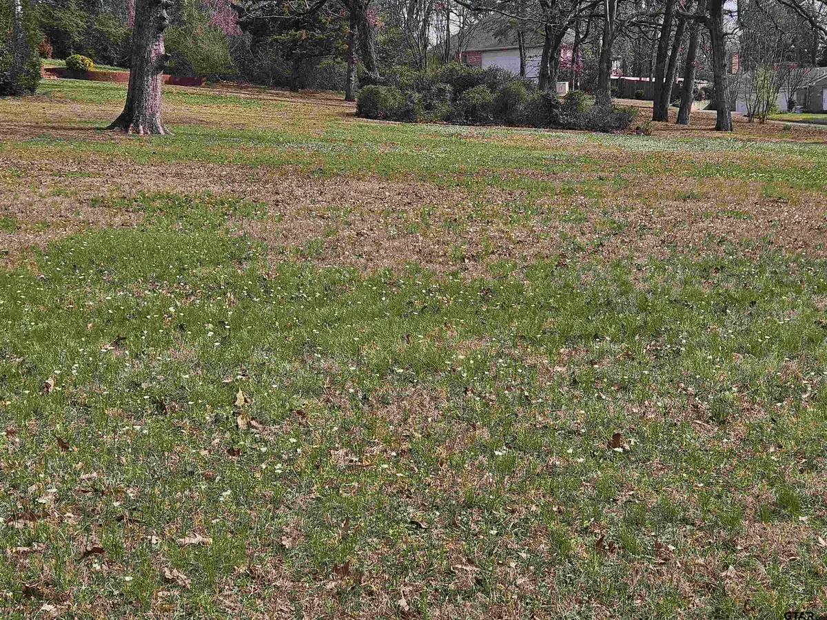 2995 S Broadway, Tyler, TX 75701 - #1