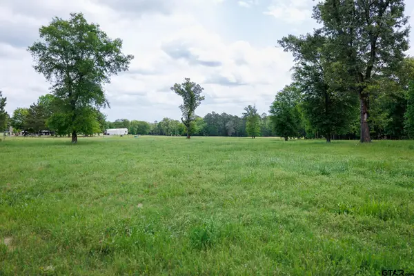 TBD An CR 336, Palestine, TX 75803