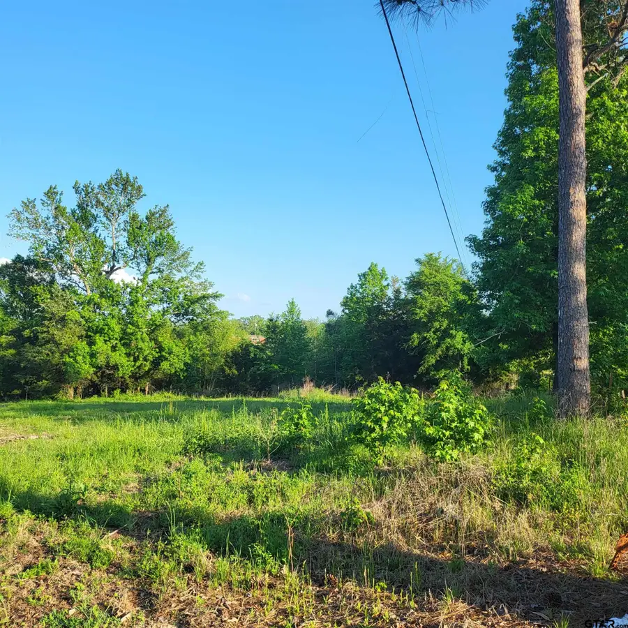 9400 C R 414, Tyler, TX 75704 - #2