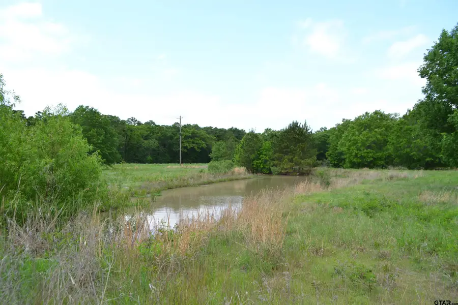 Address Withheld By Seller, Alba, TX 75410 - #3
