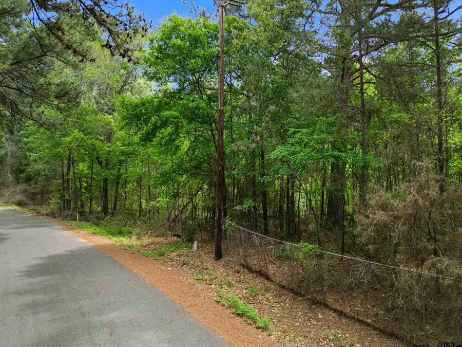 2687 Camp Switch Rd, White Oak, TX 75693 - #2