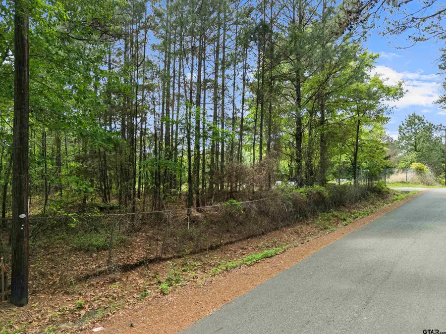 2687 Camp Switch Rd, White Oak, TX 75693 - #3