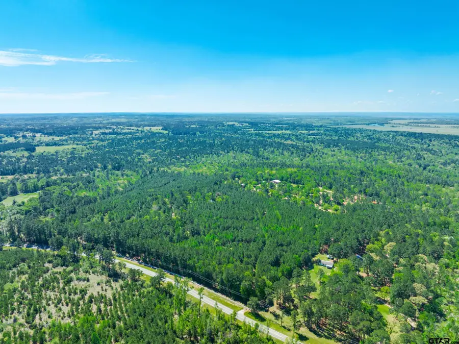 6679 W State Hwy 294, Palestine, TX 75801 - #3