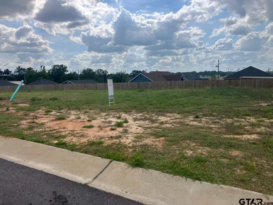 205 Toro Drive, Winona, TX 75792 - #2