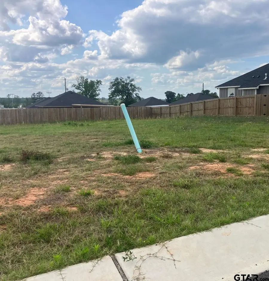 224 Nolan Farms Blvd, Winona, TX 75792 - #3