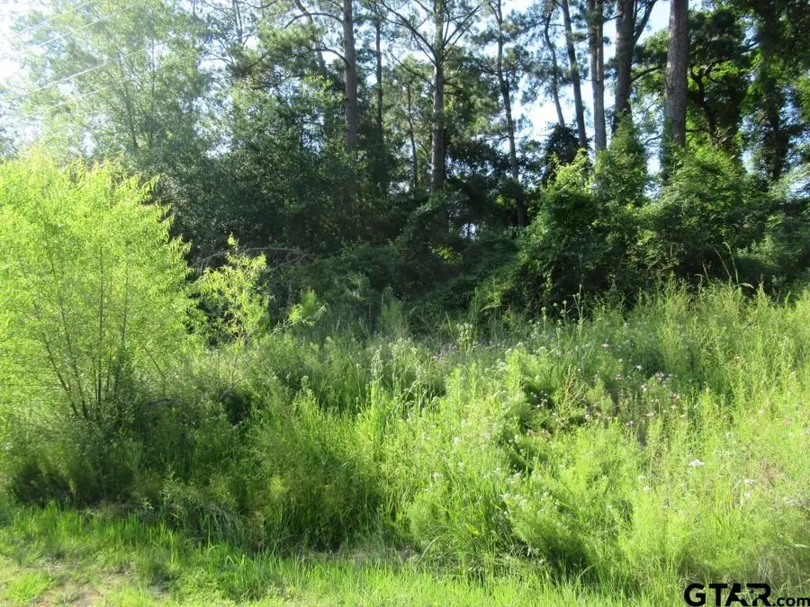 22448 Shady Trail, Flint, TX 75762 - #3