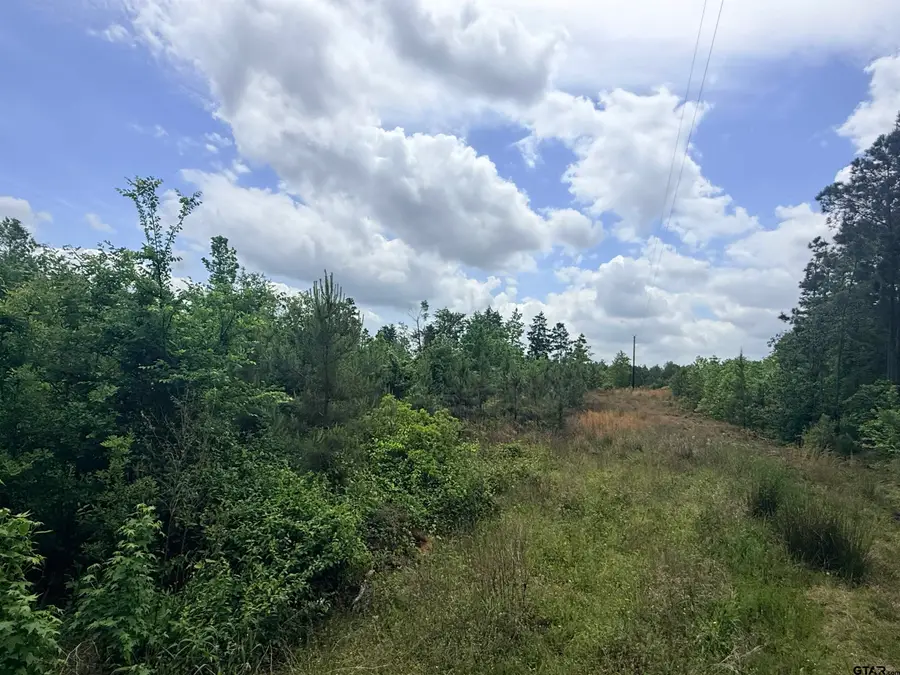 10417 CR 415, Henderson, TX 75654 - #3