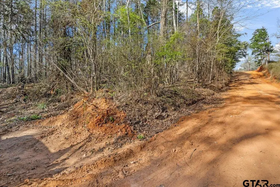 TBD FM 2015, Tyler, TX 75708 - #3