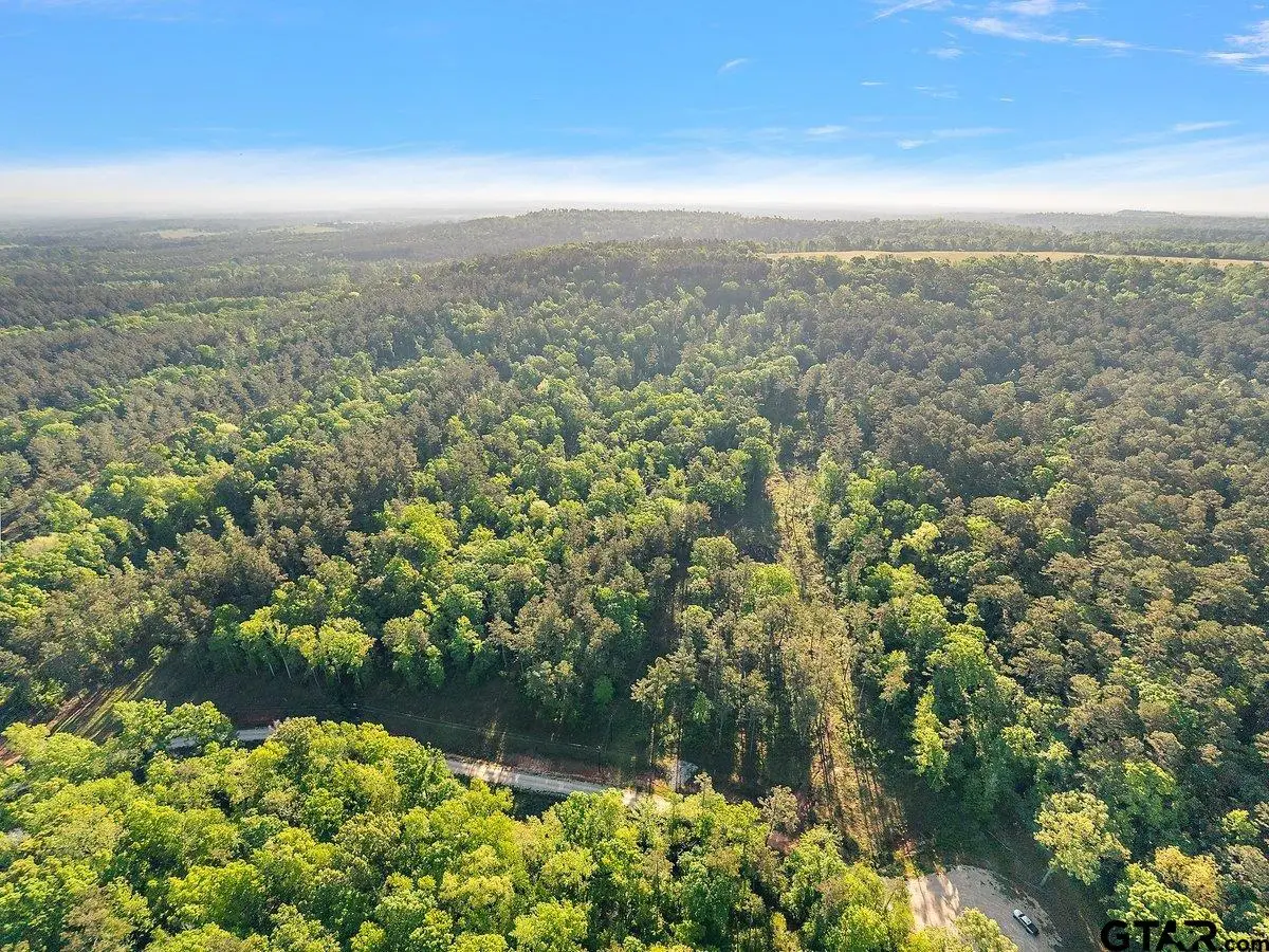 1305 Jackson Dr & TBD Hwy 110, Rusk, TX 75785 - #1