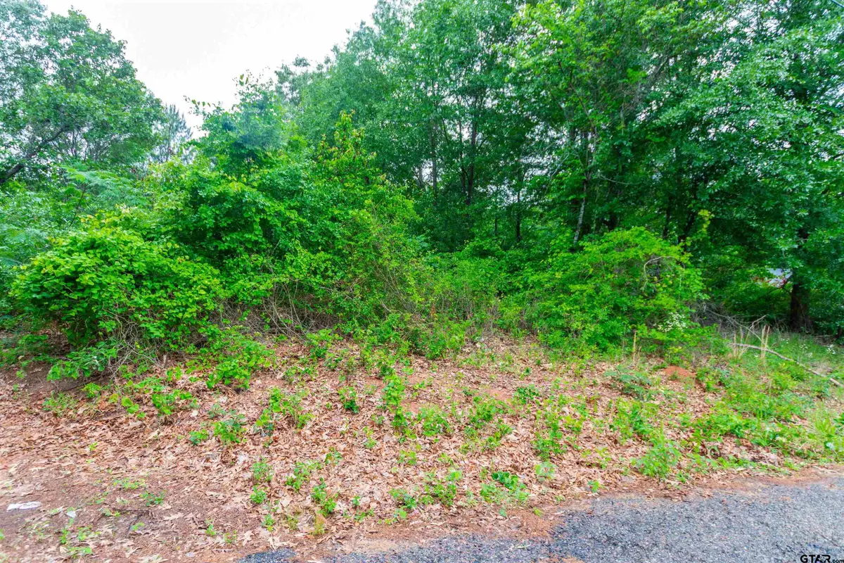 327 Fairway Ave, Tyler, TX 75702 - #1