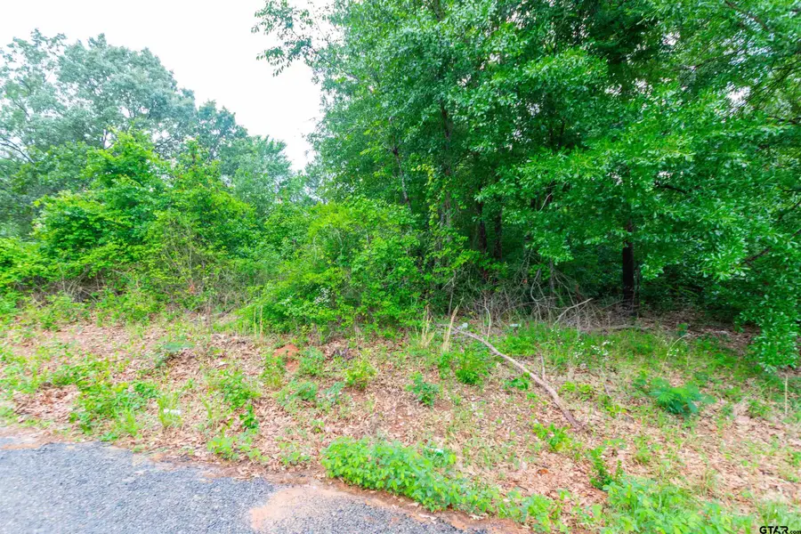 327 Fairway Ave, Tyler, TX 75702 - #2